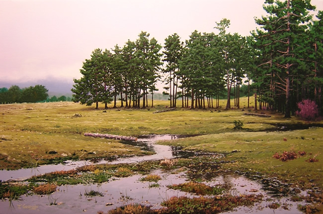 pintura de paisaje por Tomas Guzman